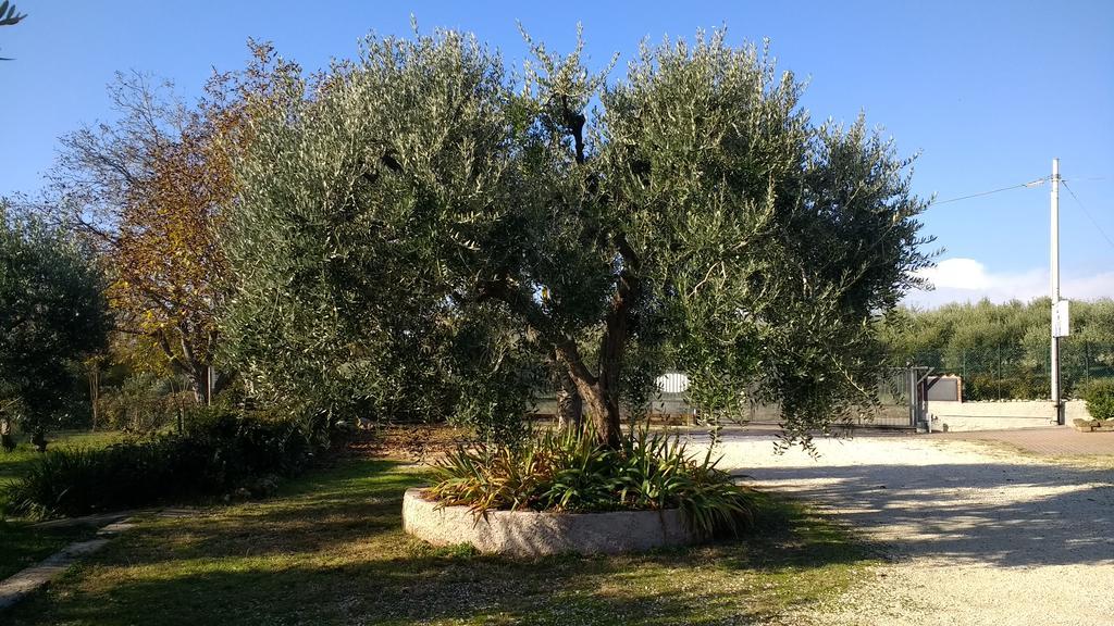 B&B Villa Roncatti Parona di Valpolicella Εξωτερικό φωτογραφία